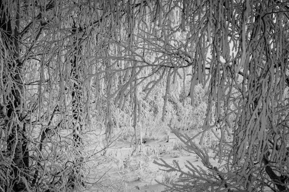 Зимний узор