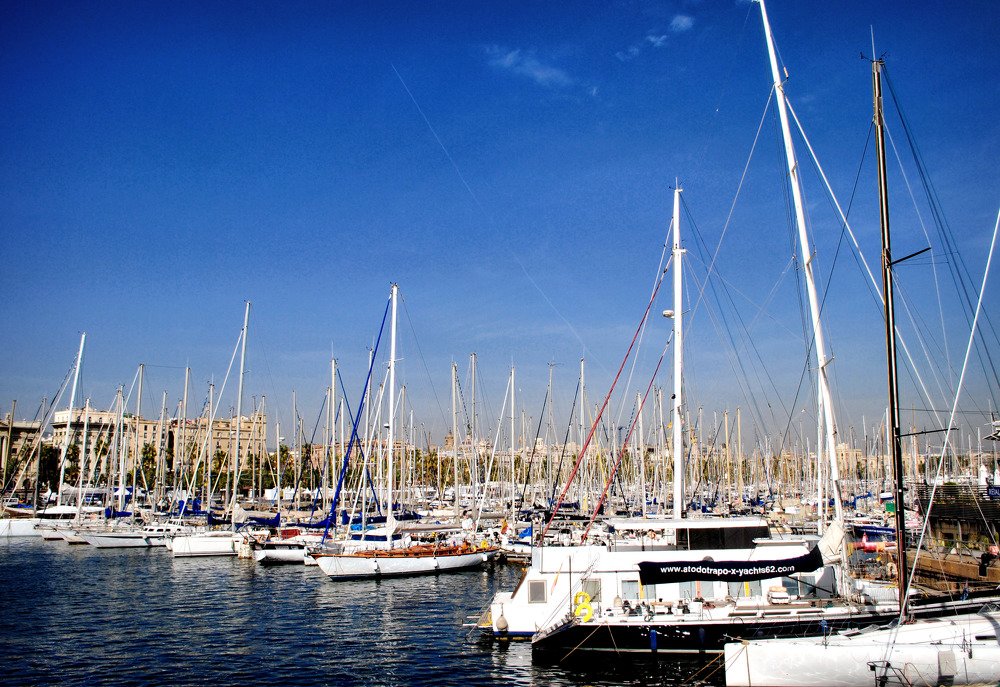 Фотография автора Анастасия Пищулова