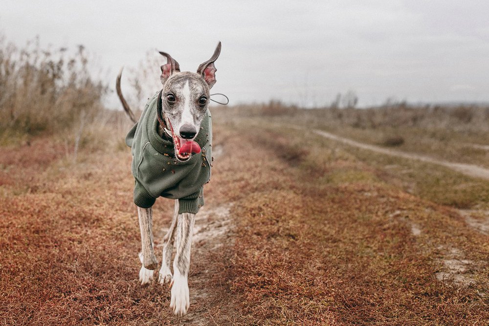 Photograph by Римма