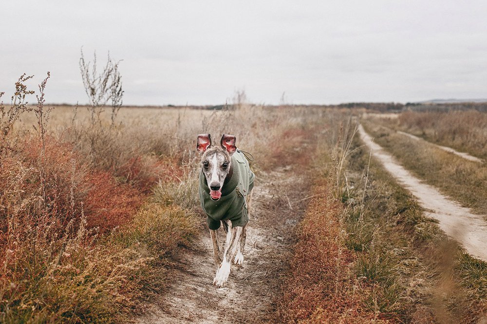 Photograph by Римма