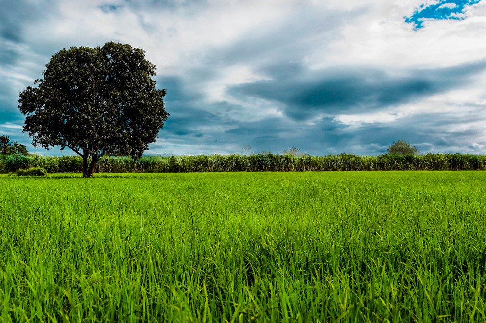 Фотография автора Fawad Hashmi