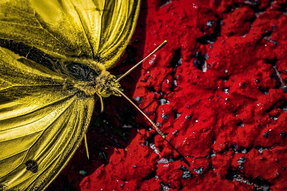 Photograph by Владимир Юрков