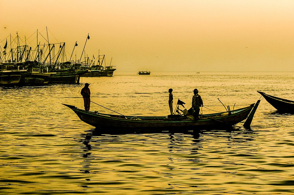 Фотография автора Fawad Hashmi