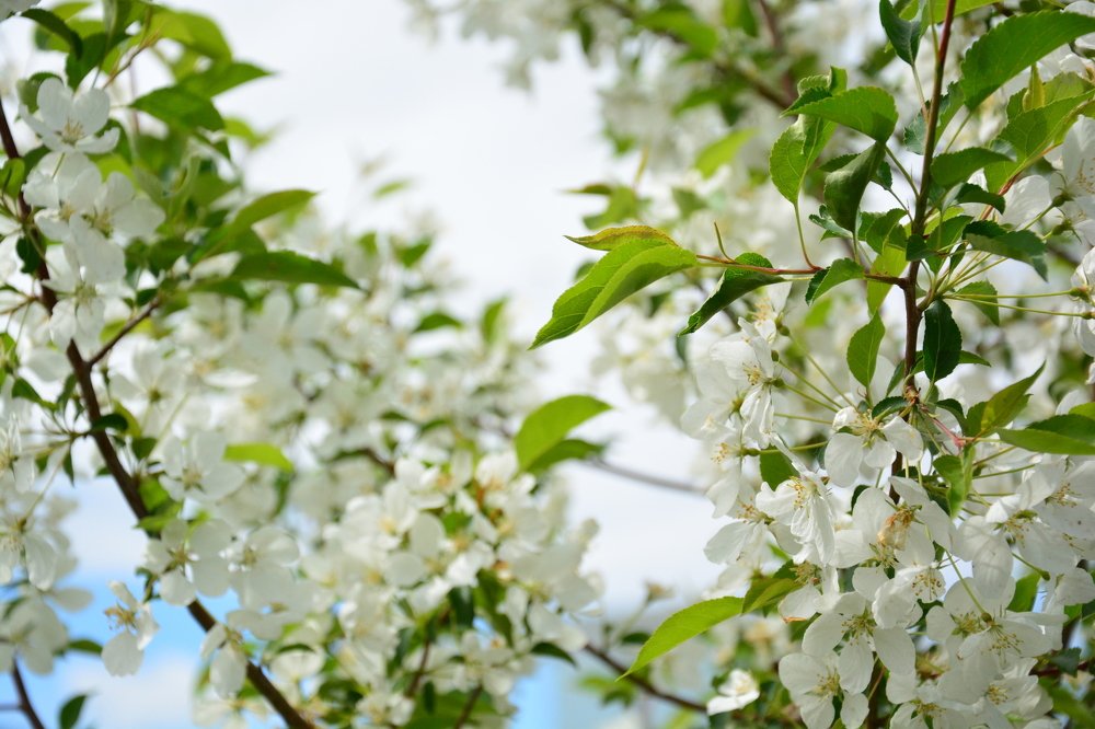 Photograph by Дарья Федорова