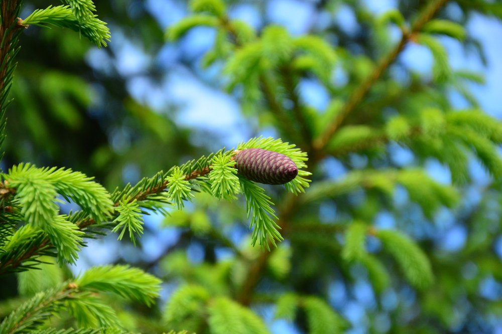 Photograph by Дарья Федорова