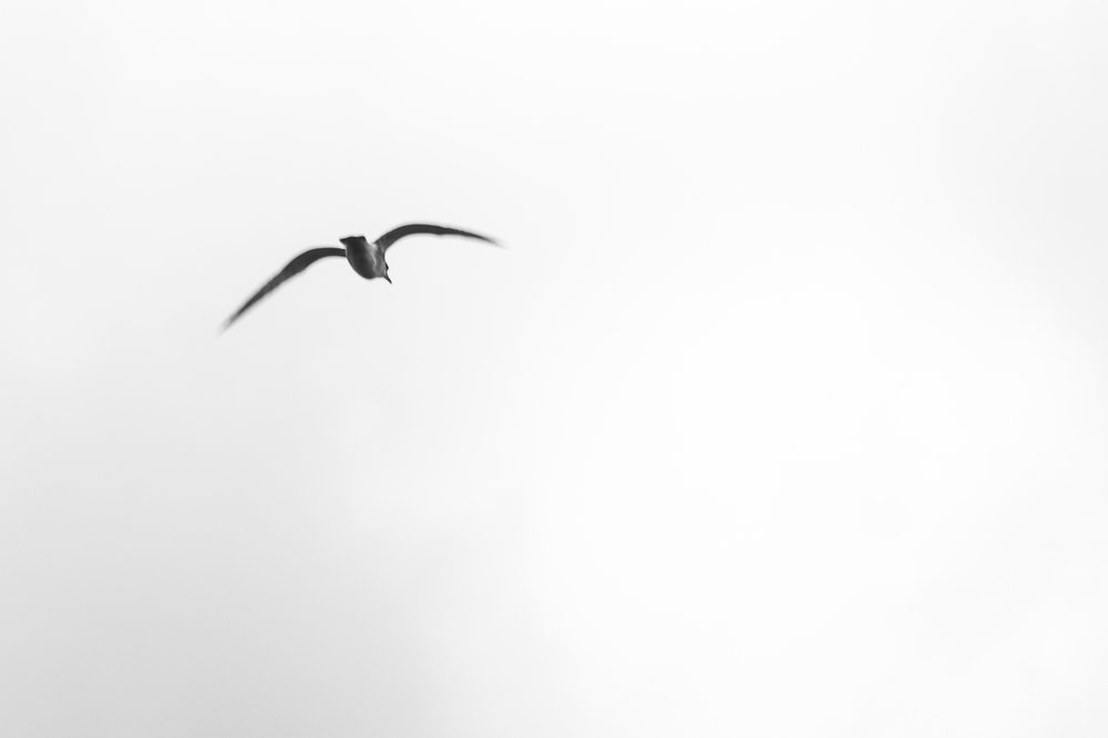 Photograph by Сергей