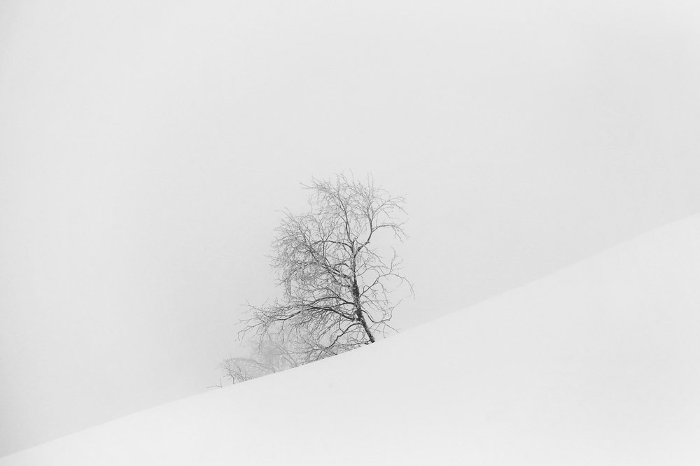 Фотография автора senjor