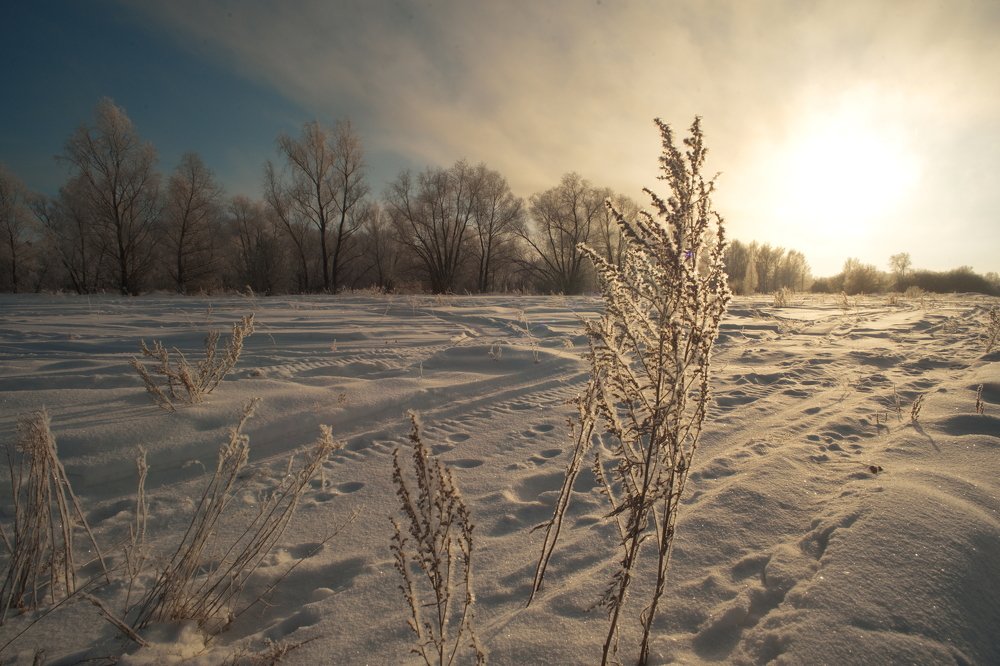 Photograph by Максим Двинин