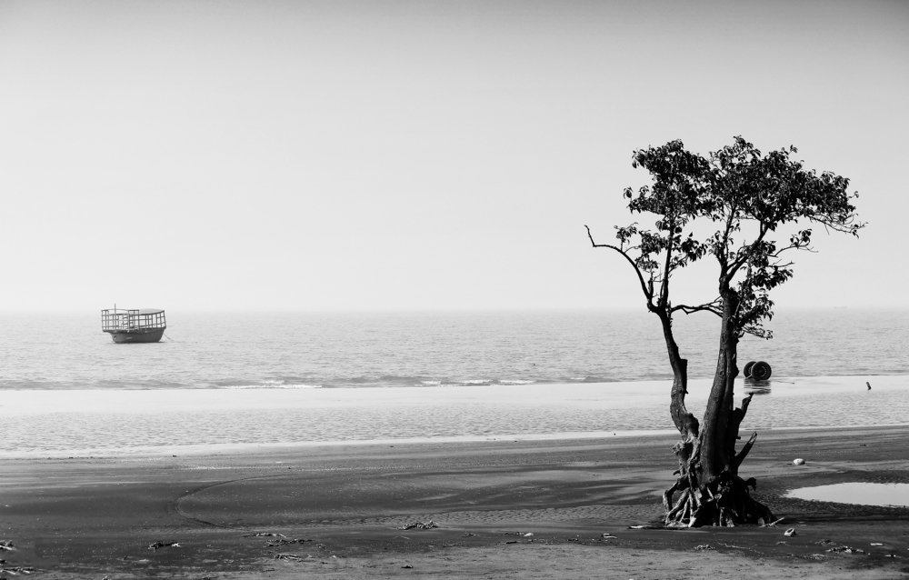 Photograph by Monowarul Kabir Milon