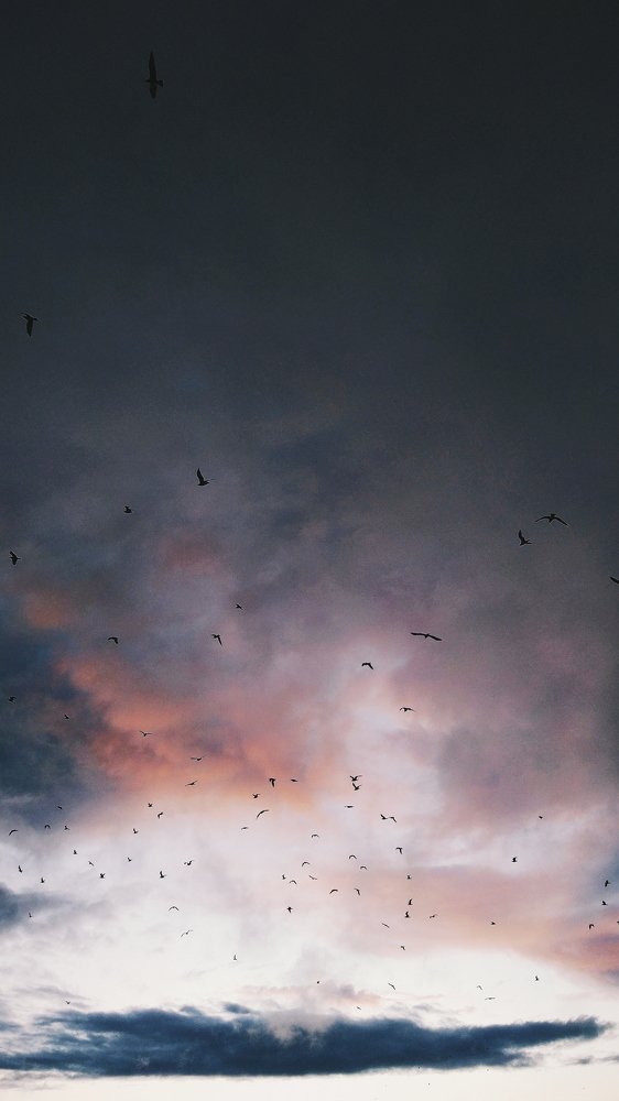 Photograph by Жанна Калашникова