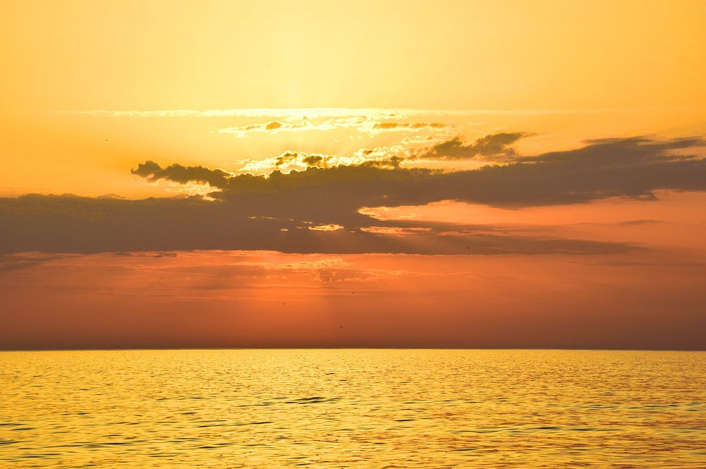 Photograph by Margo Margo