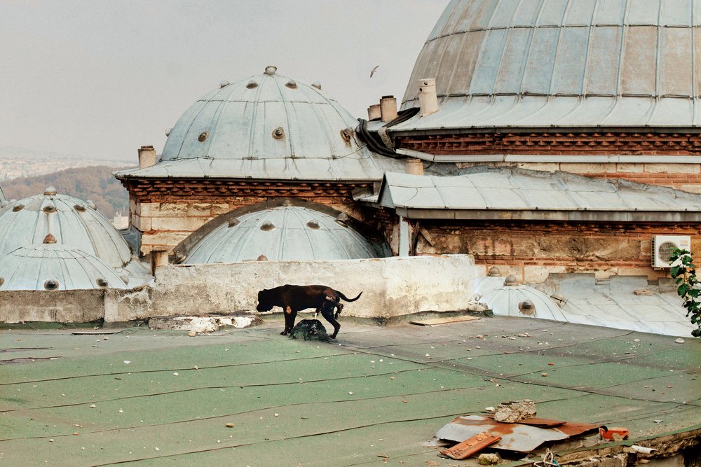 Photograph by Римма