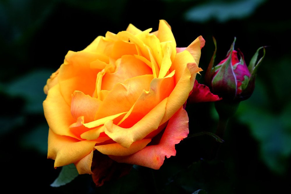 Photograph by Евгений Шувалов