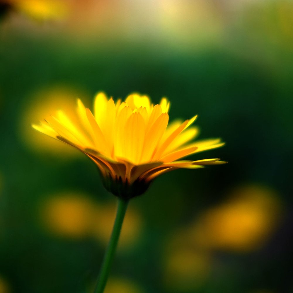 Photograph by Евгений Шувалов