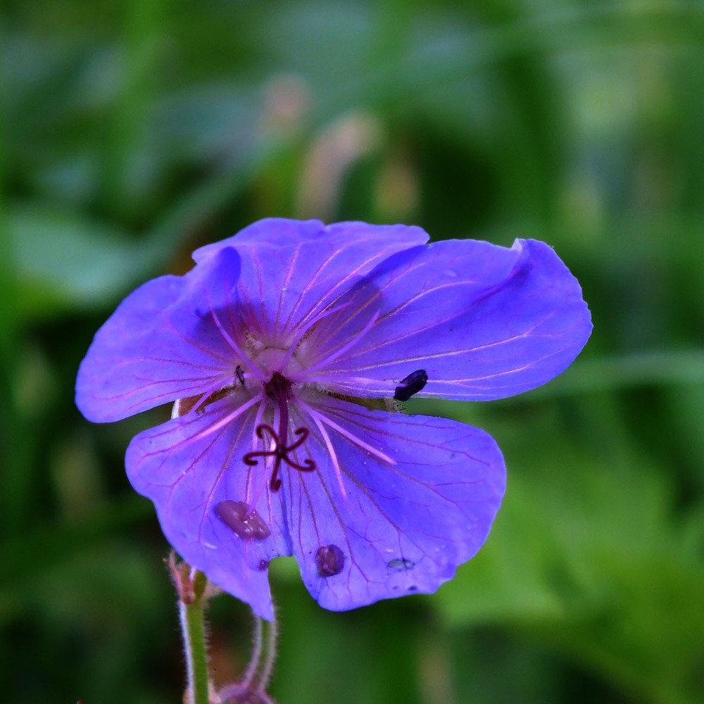 Photograph by Евгений Шувалов