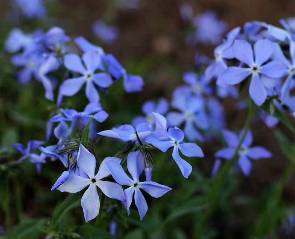 Photograph by Евгений Шувалов