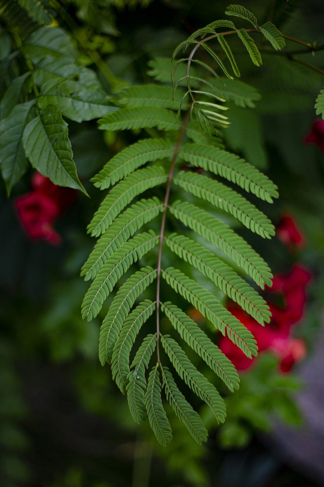 Photograph by Инга Сорокина