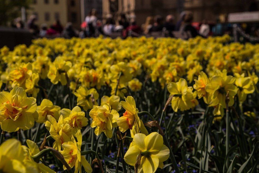 Photograph by marianna chechik