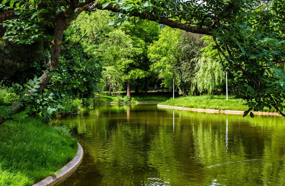 Photograph by marianna chechik