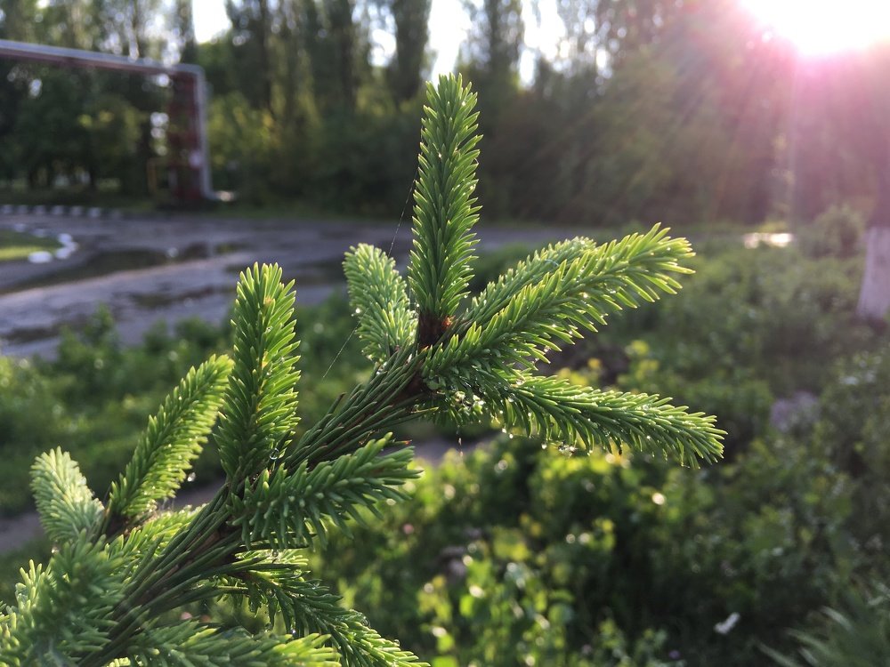 Photograph by Дмитрий Долгов