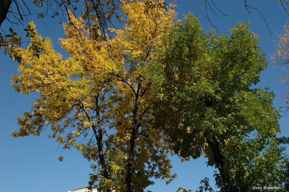 Photograph by Ирина Марченко