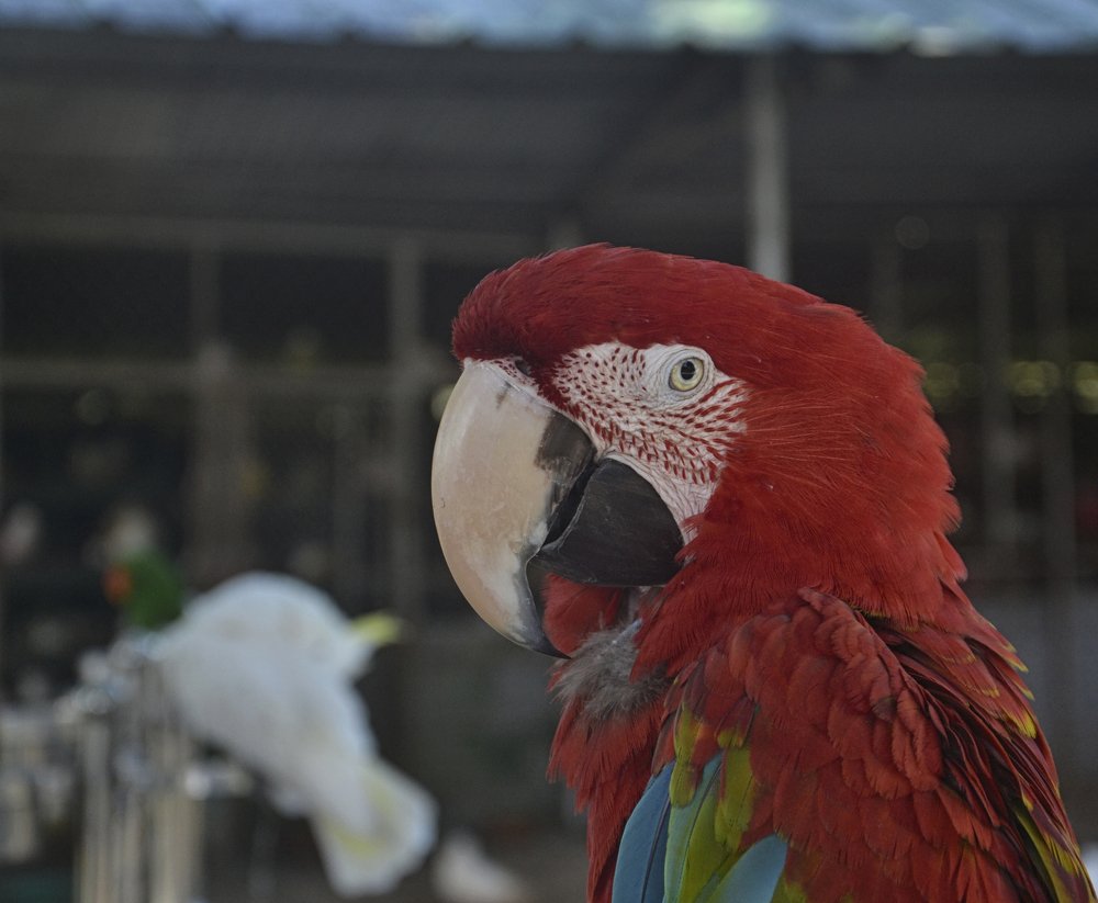 Photograph by Михаил Kolesnik