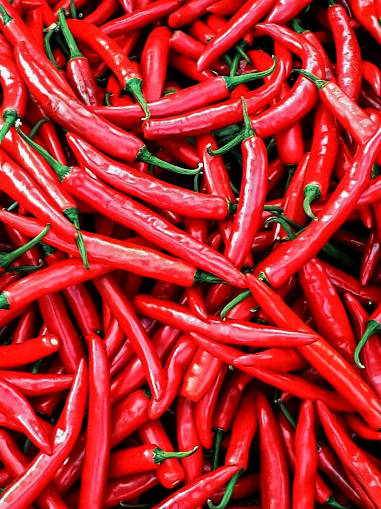 Spicy Red Chillies!