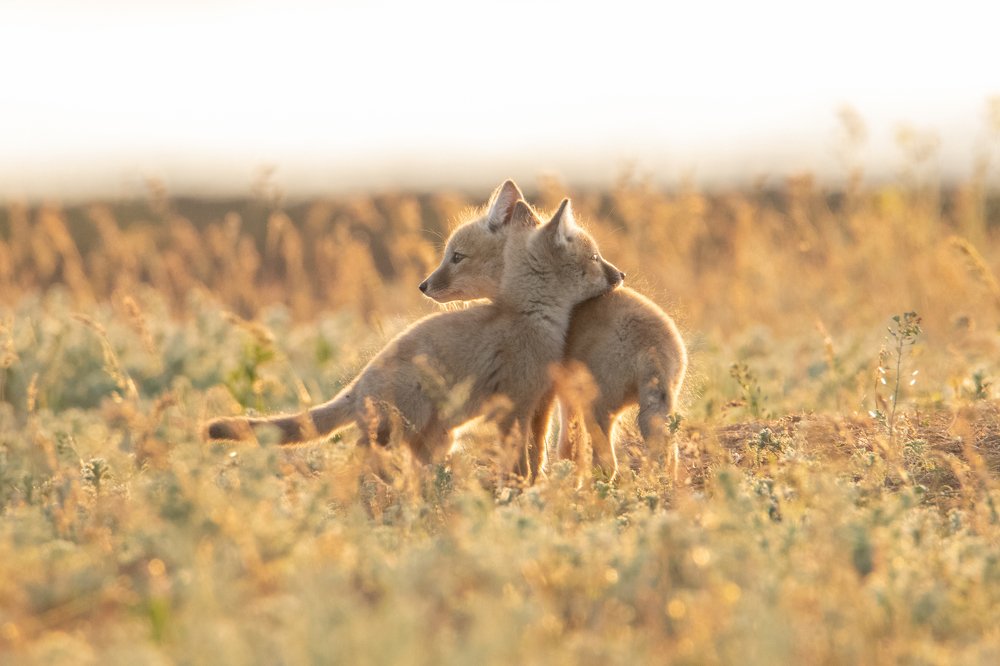 Photograph by Цветков Сергей