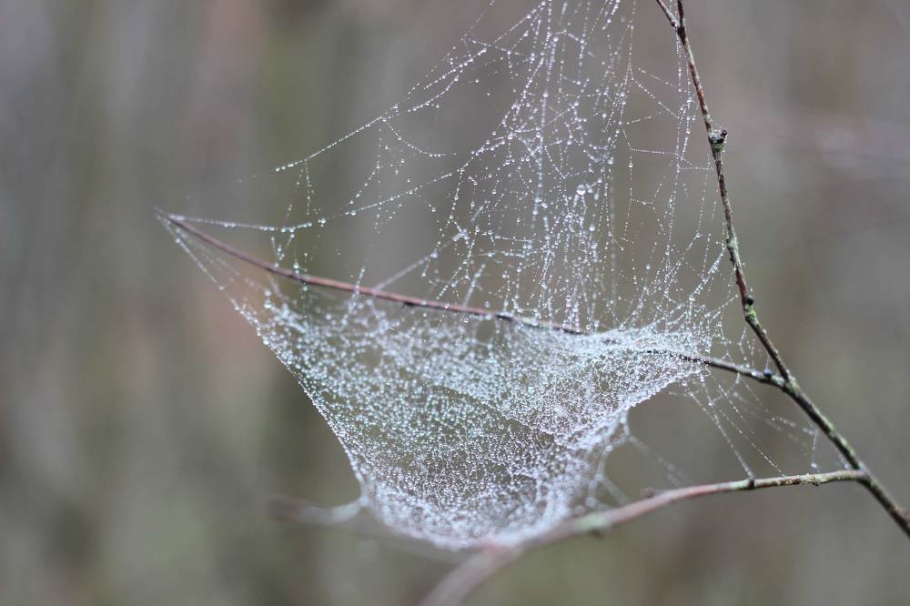 Photograph by Леся Дмітрук