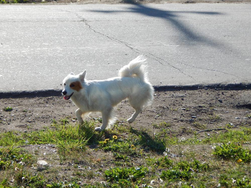 Photograph by Иван Кирилков