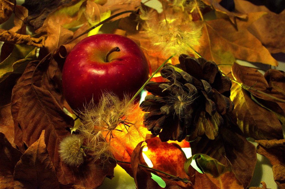 Фотография автора Маис Киракозов