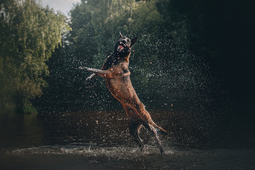 Photograph by Alexandra Morrison