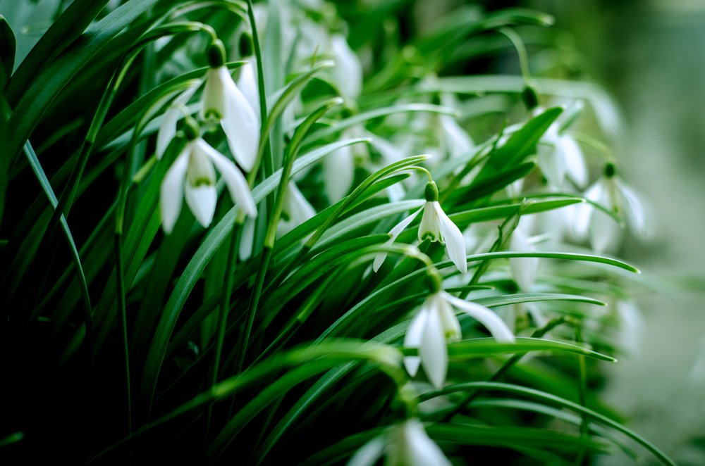 Photograph by Анна Айбетова