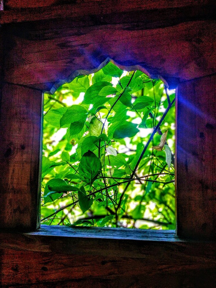 Свет в твоём окне...