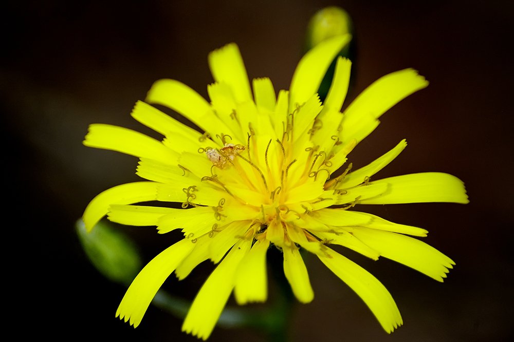 Фотография автора Игорь Иванов