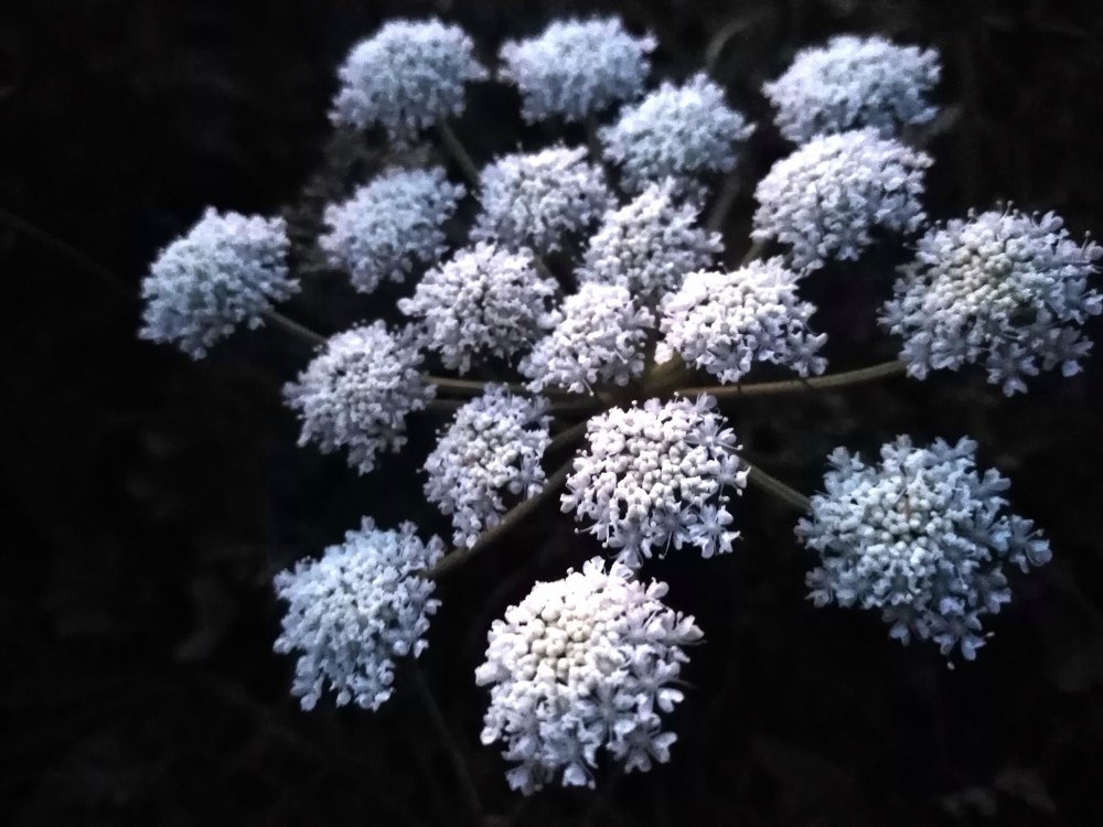 Photograph by Маргарита Русанова