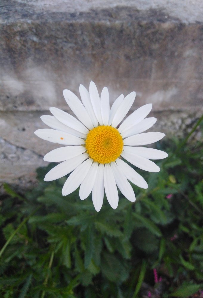 Photograph by Маргарита Русанова