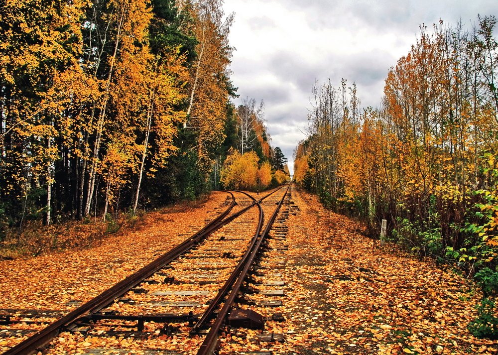 Дорога в осень