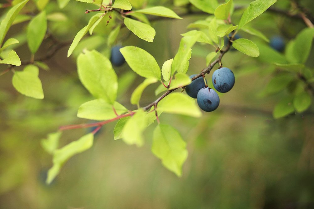 Photograph by Марина Бойко