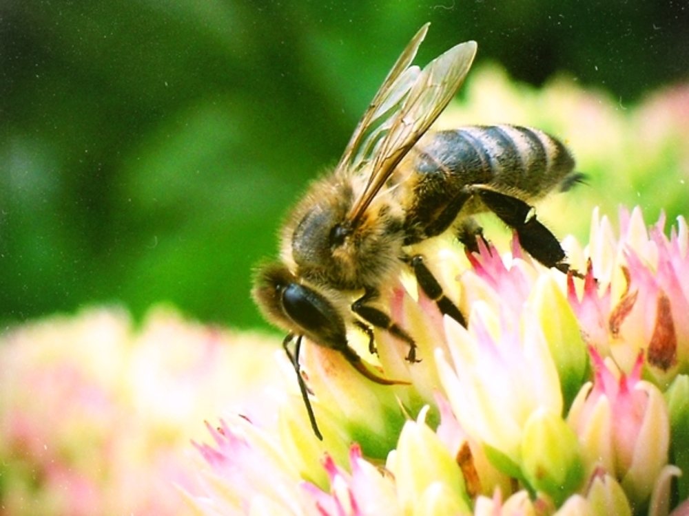 Photograph by Анастасия Моисеева