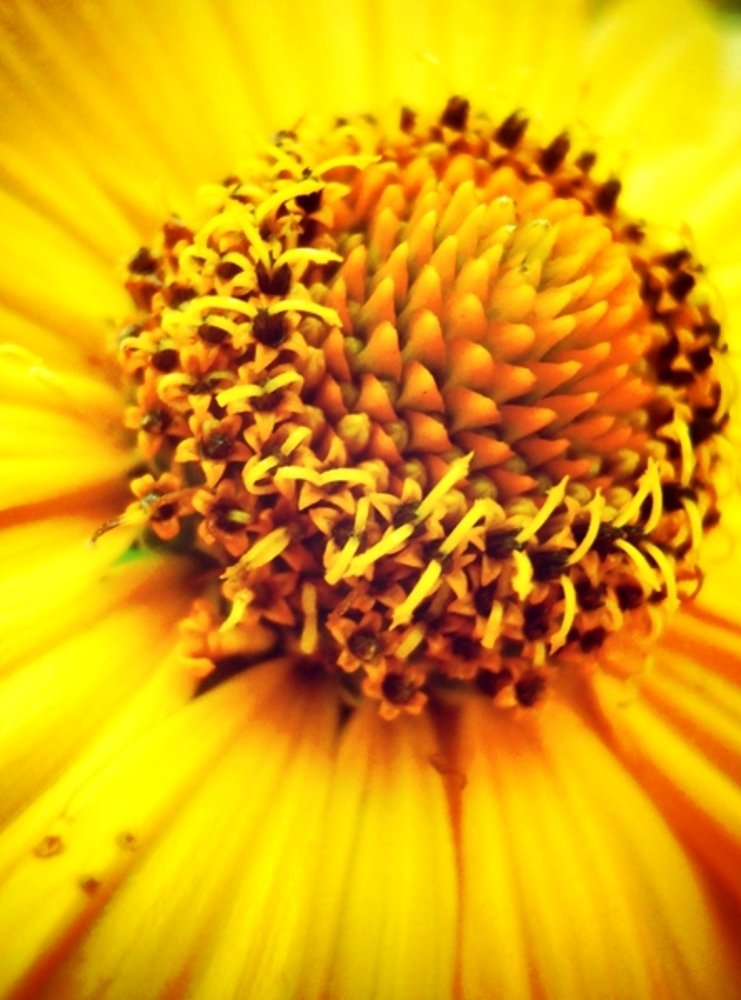 Photograph by Анастасия Моисеева