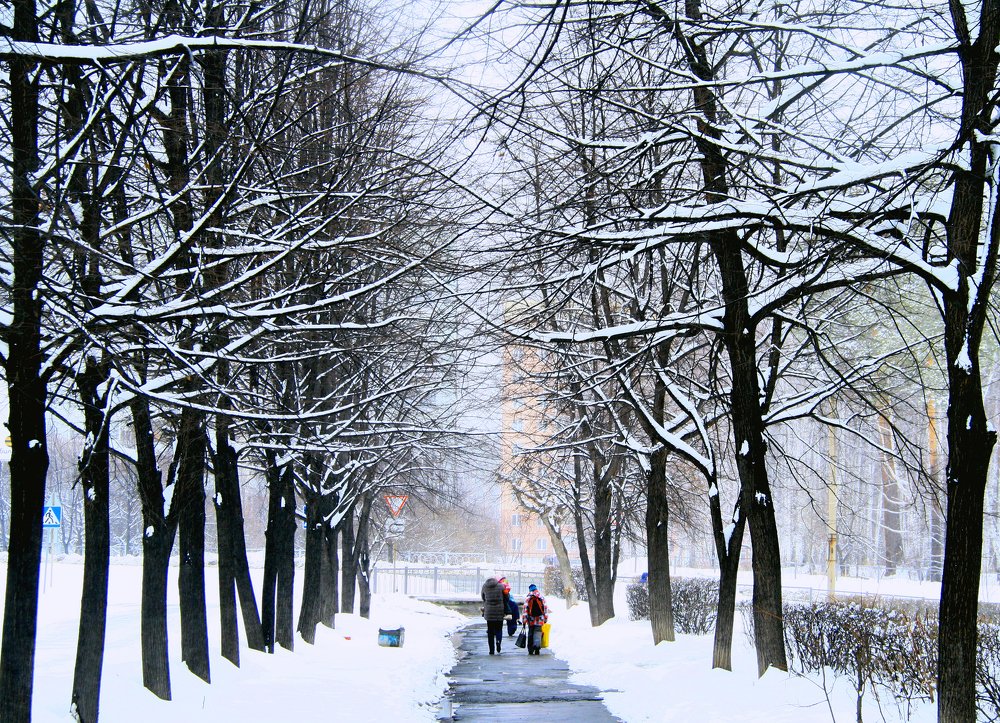 Последний снегопад
