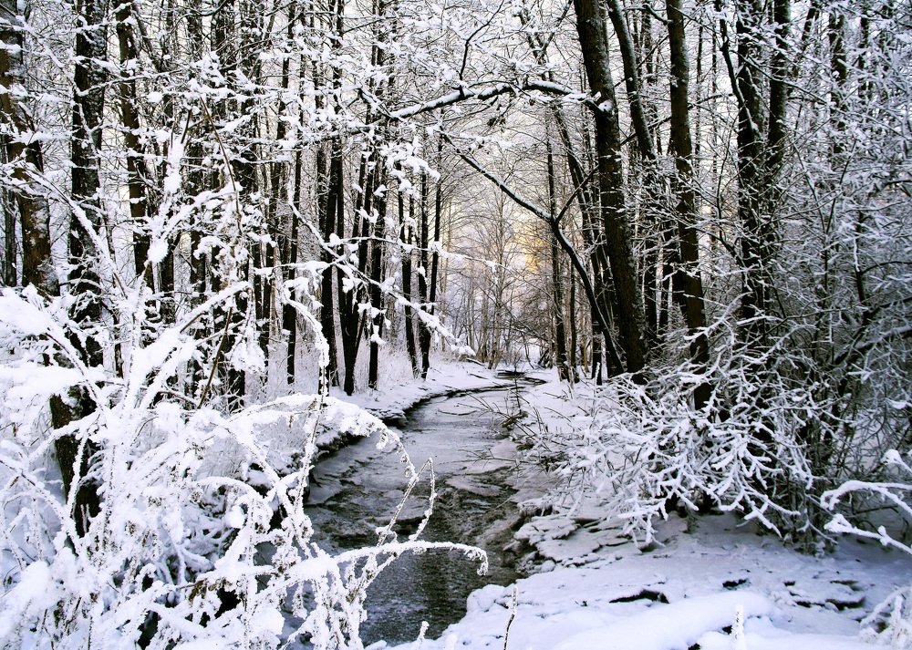 Зимняя сказка