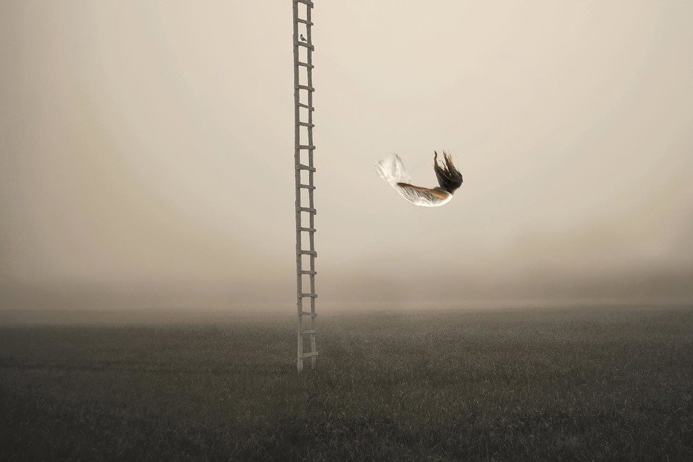 Photograph by  Mohammad Amini