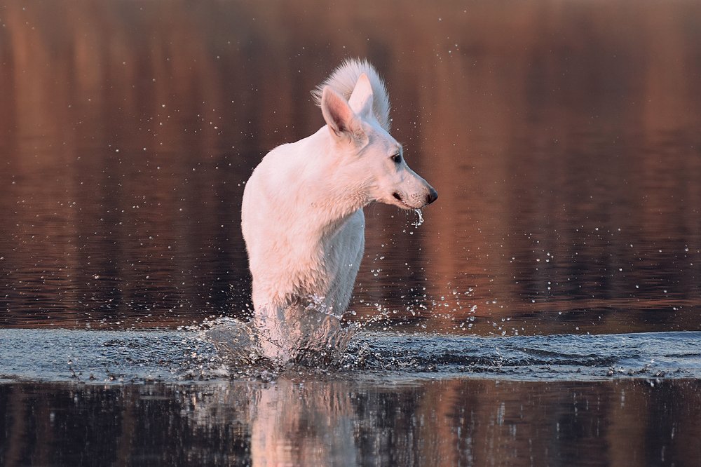 Photograph by Юлия Курмазова