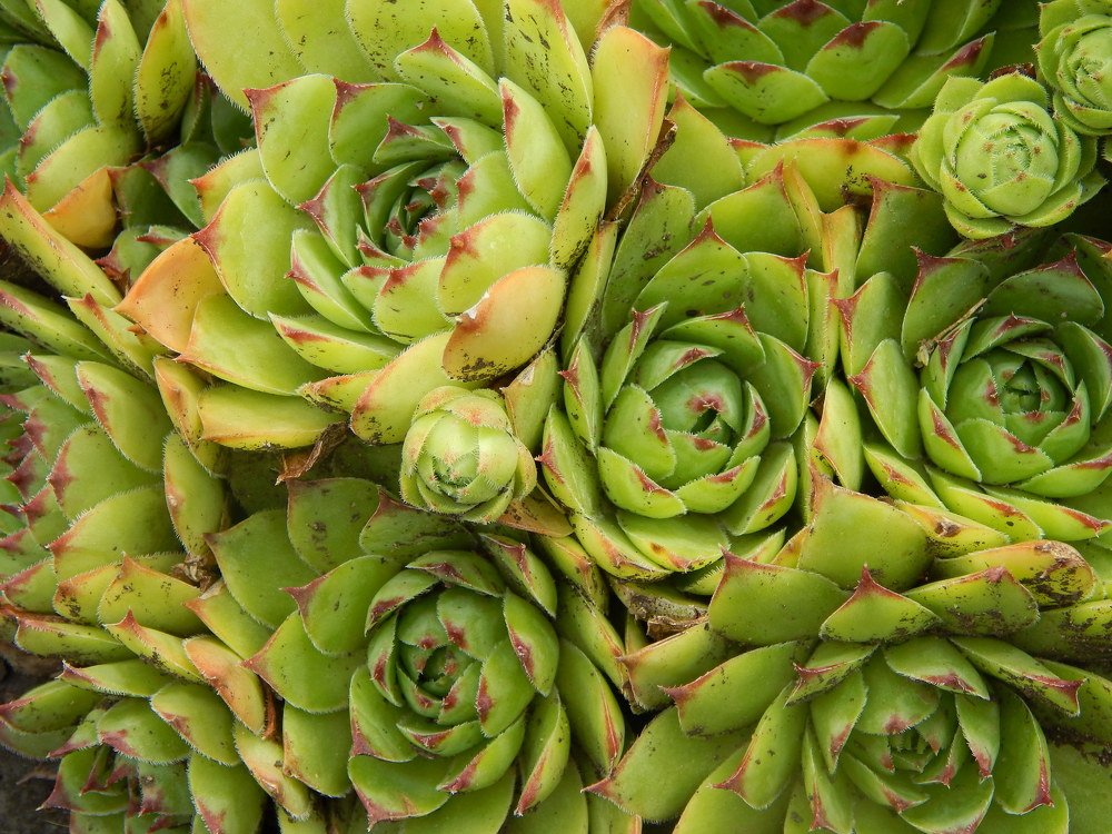 Photograph by Анастасия Моисеева