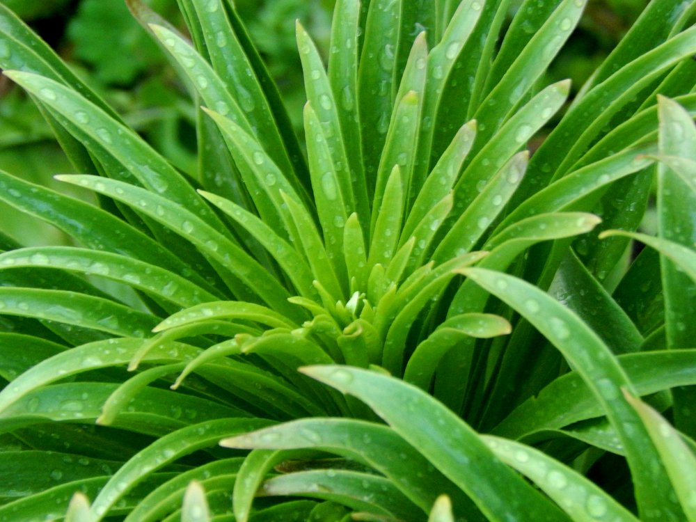 Photograph by Анастасия Моисеева