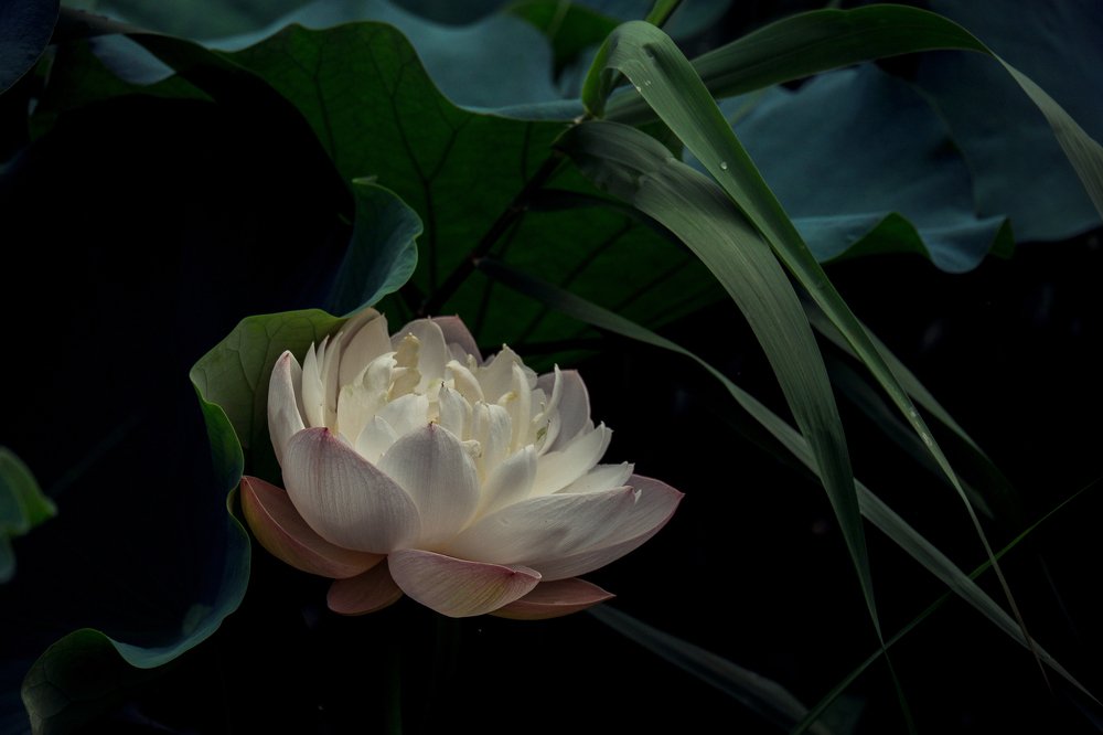 Photograph by Рябова Олеся