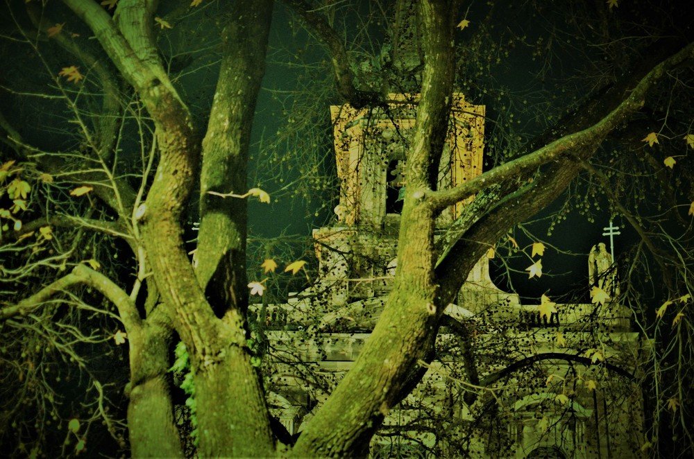 Photograph by Rita Moura