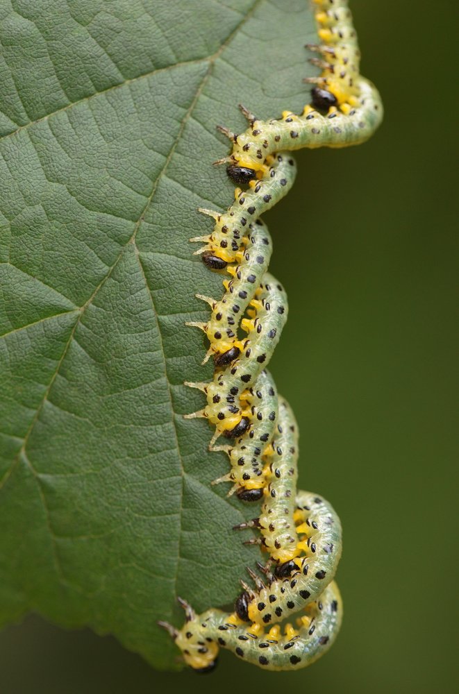 Photograph by Анастасия Калинцева